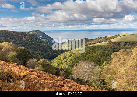 Regardant vers le bas sur le Lynton Two Moors Way, Exmoor, England, UK Banque D'Images