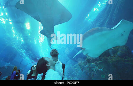 Teenage girl with Dad admirer la vie marine dans le tunnel de verre de l'aquarium de Dubai Mall Banque D'Images