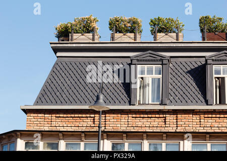 Lucarnes sur le toit du bâtiment avec des boîtes à fleurs à sunny day Banque D'Images