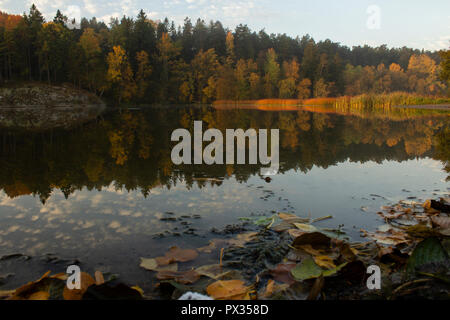 Couleurs d'automne arbres se reflétant dans un lac de forêt. Les feuilles tombées dans l'avant-plan. Banque D'Images