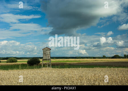 Tower pour la chasse dans le domaine et nuages dans le ciel Banque D'Images