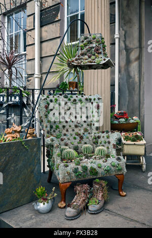 Affichage d'un roman de plantes grasses sur une porte dans la nouvelle ville d'Édimbourg. Banque D'Images