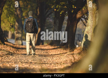 19 octobre 2018, Bade-Wurtemberg, Owen : un homme marche à travers une avenue. Photo : Sebastian Gollnow/dpa Banque D'Images