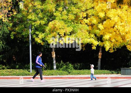 Qingdao, Chine, la province de Shandong. 17 Oct, 2018. Personnes visitent le parc Shuangzhu à Qingdao, province de Shandong en Chine orientale, le 17 octobre 2018. Credit : Wang Peike/Xinhua/Alamy Live News Banque D'Images