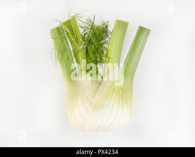 Un bulbe de fenouil sur un fond blanc Banque D'Images