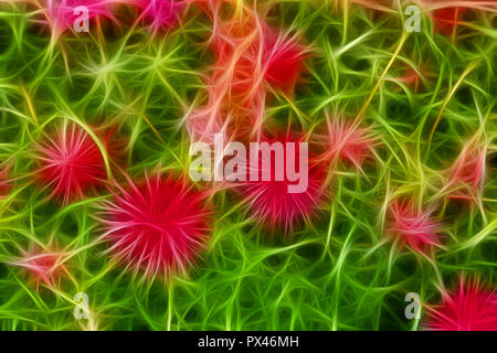Modèle fractal résumé avec des fleurs roses Banque D'Images