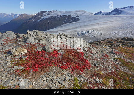 Vue sur le champ de glace Harding du sentier Seward Alaska Banque D'Images