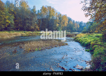 Viresi ville, en Lettonie. Arbres et rivière, l'automne et les jours ensoleillés. Billet photo de la nature en 2018. Banque D'Images