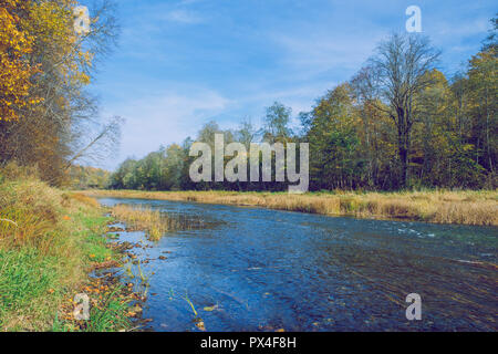 Viresi ville, en Lettonie. Arbres et rivière, l'automne et les jours ensoleillés. Billet photo de la nature en 2018. Banque D'Images