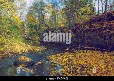Viresi ville, en Lettonie. Arbres et rivière, l'automne et les jours ensoleillés. Billet photo de la nature en 2018. Banque D'Images