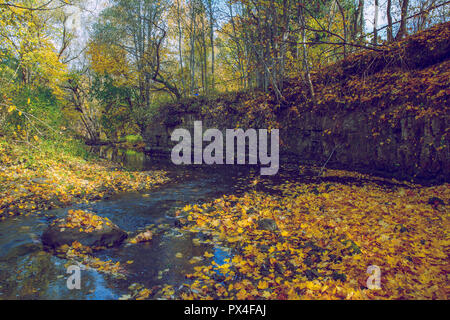 Viresi ville, en Lettonie. Arbres et rivière, l'automne et les jours ensoleillés. Billet photo de la nature en 2018. Banque D'Images