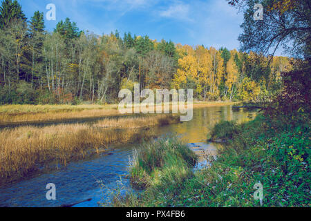 Viresi ville, en Lettonie. Arbres et rivière, l'automne et les jours ensoleillés. Billet photo de la nature en 2018. Banque D'Images