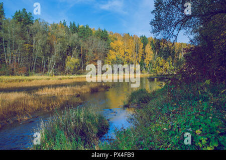 Viresi ville, en Lettonie. Arbres et rivière, l'automne et les jours ensoleillés. Billet photo de la nature en 2018. Banque D'Images