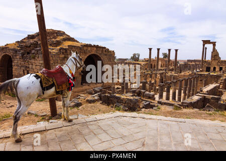 Bosra, Syrie : un cheval vous attend pour les touristes dans les ruines de l'ancienne ville romaine de Nova Trajana Bostra. Banque D'Images