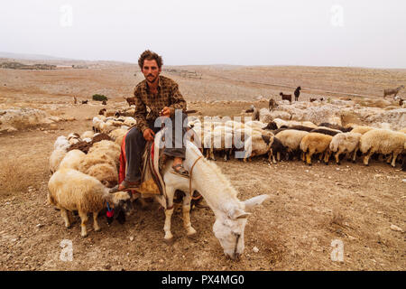 Mushabbak, Alep, Syrie : un berger sur un âne est entouré de son troupeau de moutons et de chèvres se sont réunis dans le paysage aride du nord de la Syrie. Banque D'Images