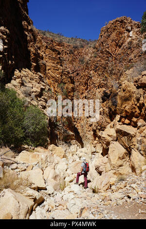 Wanderer in einer Schlucht, OliveTrail, Naukluft Gebirge, parc de Namib Naukluft, Namibie, Afrique Banque D'Images