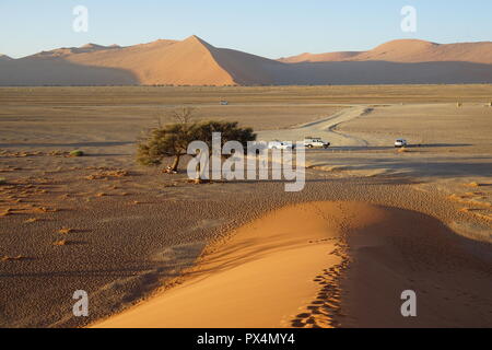 Düne 45, Namib-Dünenmeer, Namibie, Afrique Banque D'Images