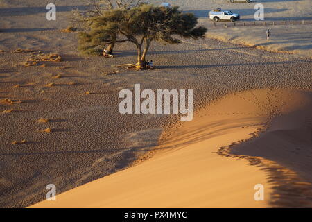 Kameldorn Namib-Dünenmeer neben Düne, 45, la Namibie, Afrika Banque D'Images