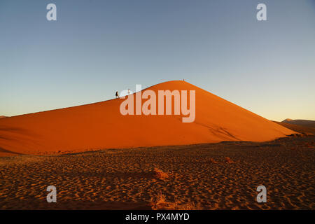 Düne 45, Namib-Dünenmeer, Namibie, Afrique Banque D'Images