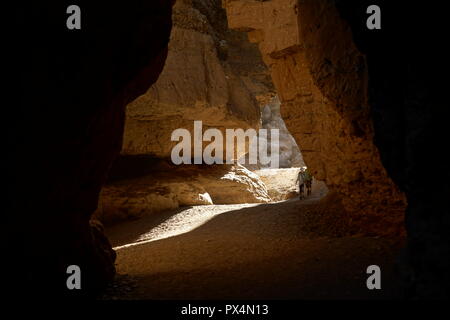 Canyon de Sesriem, Trockenfluss, Tsauchab Sesriem, Namib Naukluft Nationalpark, Namibie, Afrique Banque D'Images