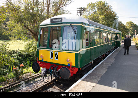 Staverton Park. South Devon Railway (ligne de chemin de fer du patrimoine). Banque D'Images