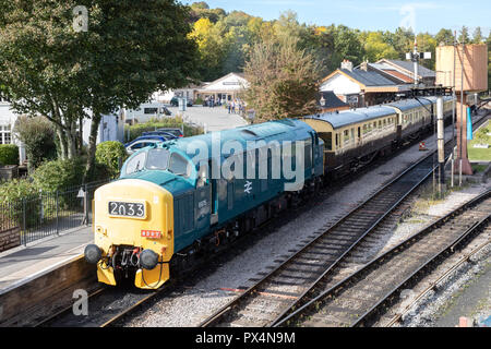 South Devon Railway (ligne de chemin de fer du patrimoine). Banque D'Images