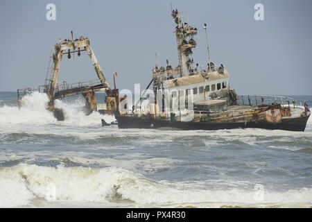 Gestrandeter Fischtrawler «Zeila' bei Henties Bay, Skelettküste Nester, des Weißbrustkormoran Dorob Parc National, Atlantischer Ozean, Namibie Banque D'Images