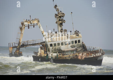 Gestrandeter Fischtrawler «Zeila' bei Henties Bay, Skelettküste Nester, des Weißbrustkormoran Dorob Parc National, Atlantischer Ozean, Namibie Banque D'Images