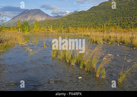 Matanuska River à l'automne de l'autoroute de l'Alaska Glenn Banque D'Images