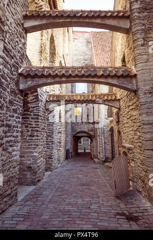 St Catherine's Passage n la vieille ville de Tallinn, Estonie Banque D'Images