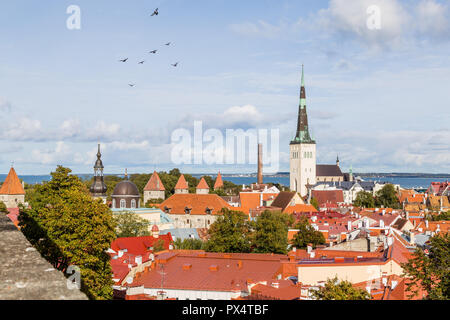 Ville de Tallinn en Estonie Banque D'Images