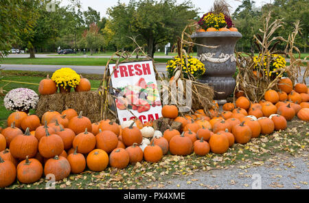 Affichage de l'automne de citrouilles à une ferme stand dans la péninsule du Niagara, Ontario, Canada. Banque D'Images