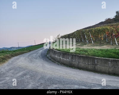 Vue sur le paysage des Langhe, un countryisde Pedmont dans très populaires en raison des bons vins et de l'alimentation Banque D'Images