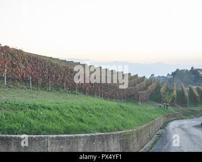 Vue sur le paysage des Langhe, un countryisde Pedmont dans très populaires en raison des bons vins et de l'alimentation Banque D'Images