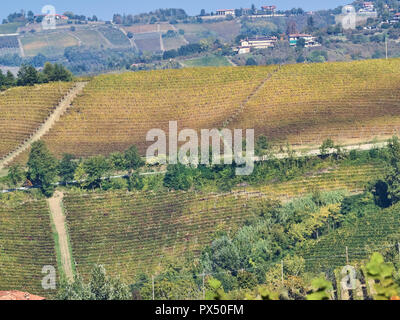 Vue sur le paysage des Langhe, un countryisde Pedmont dans très populaires en raison des bons vins et de l'alimentation Banque D'Images