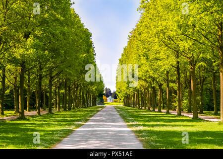 Un grand arbre avenue menant à un grand bassin comprenant le Schwaneninsel (Swan Island) avec son petit temple sur une journée de printemps ensoleillée dans le parc d'État de... Banque D'Images