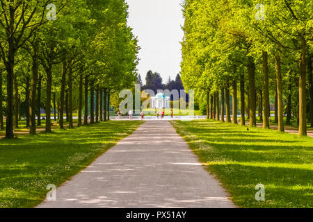 Belle vue sur un grand arbre avenue menant à la populaire visiteurs près du grand bassin (Aueteich) comprenant l'île des Cygnes (Schwaneninsel) avec ses... Banque D'Images