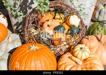 Arrangement d'automne coloré de citrouilles et courges Banque D'Images
