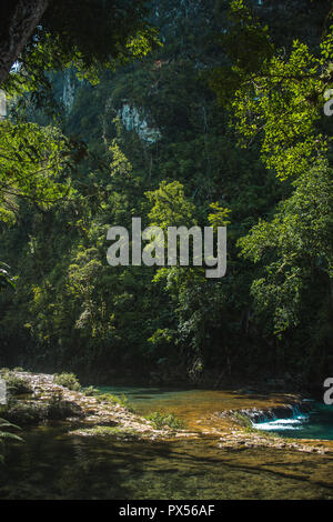 Beau, turquoise piscines naturelles de Semuc Champey, une destination touristique populaire au Guatemala Banque D'Images