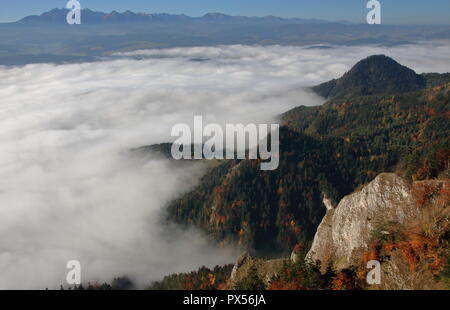 Vue panoramique à partir de trois couronnes massif dans les montagnes de Pieniny, la Pologne, la vallée couverte d'épais brouillard, calcaire et couvert d'arbres d'automne des pics. Banque D'Images