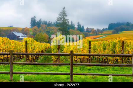 Dundee, Illinois, USA - 2 novembre 2014 couleurs d'automne : remplir le Dundee Hills Wine Country à Dundee, Oregon. Banque D'Images