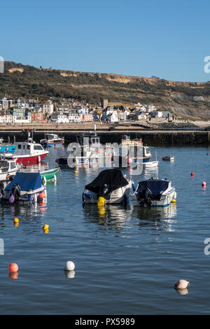 Vue sur le port de la Cobb de la ville à Lyme Regis, dans le Dorset, UK Banque D'Images