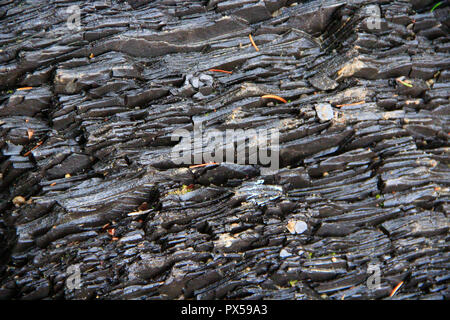 Les couches rocheuses en montagne. Des couches de roches de pierre. La géologie. Les montagnes des Carpates. Les roches de basalte dans les montagnes Banque D'Images