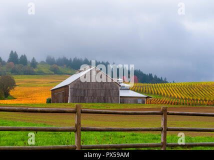 Dundee, Illinois, USA - 2 novembre 2014 : couleurs d'automne autour d'une grange sur le Stoller Vineyards dans la région de Dundee, Oregon. Banque D'Images