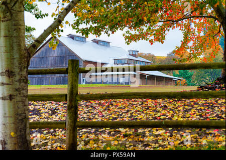 Dundee, Illinois, USA - 2 novembre 2014 : couleurs d'automne autour d'une grange sur le Stoller Vineyards dans la région de Dundee, Oregon. Banque D'Images