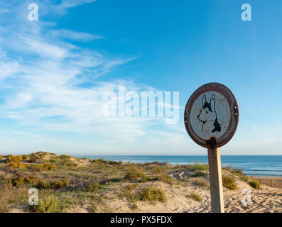 Pas de chiens signe sur beach Banque D'Images