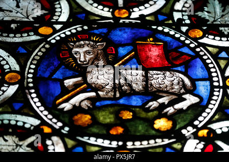 Saint-Pierre-le-jeune église protestante. Agneau de Dieu. L'Agnus Dei. Vitrail. Strasbourg. La France. Banque D'Images