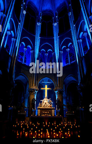 Spectacle son et lumière à la cathédrale Notre Dame, Paris, France. Banque D'Images