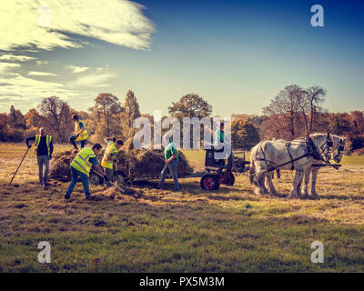 Décisions à l'aide de foin en chariot à cheval dans Hyde Park London UK Banque D'Images