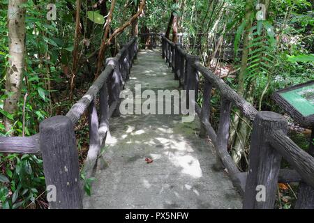 Passerelle pont belle forêt dans la nature Banque D'Images